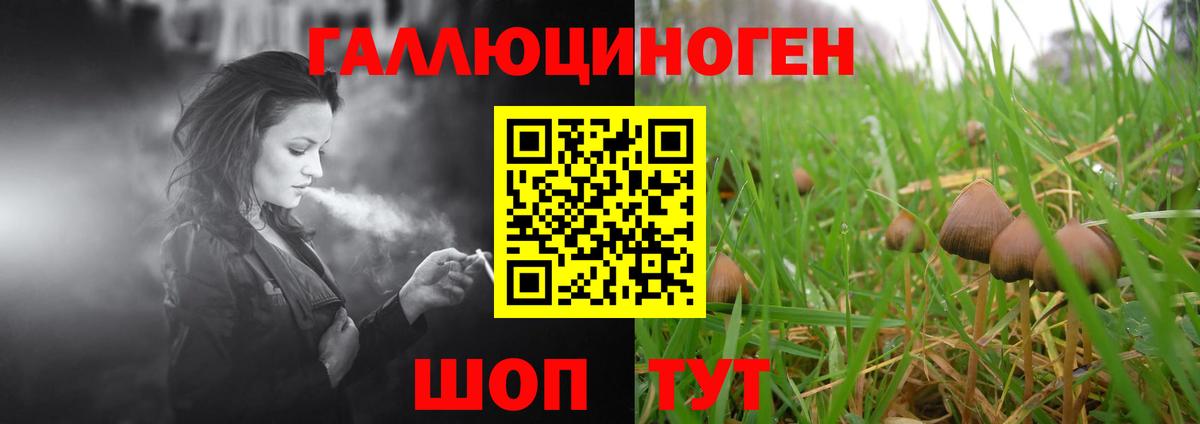 Кропоткин  Галлюциногенные грибы ЛСД  Вход с VPN 
